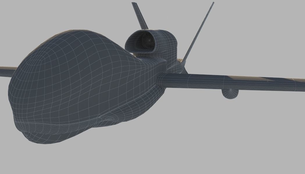Global Hawk 3D model_9
