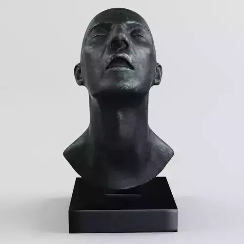 Sculpture Head