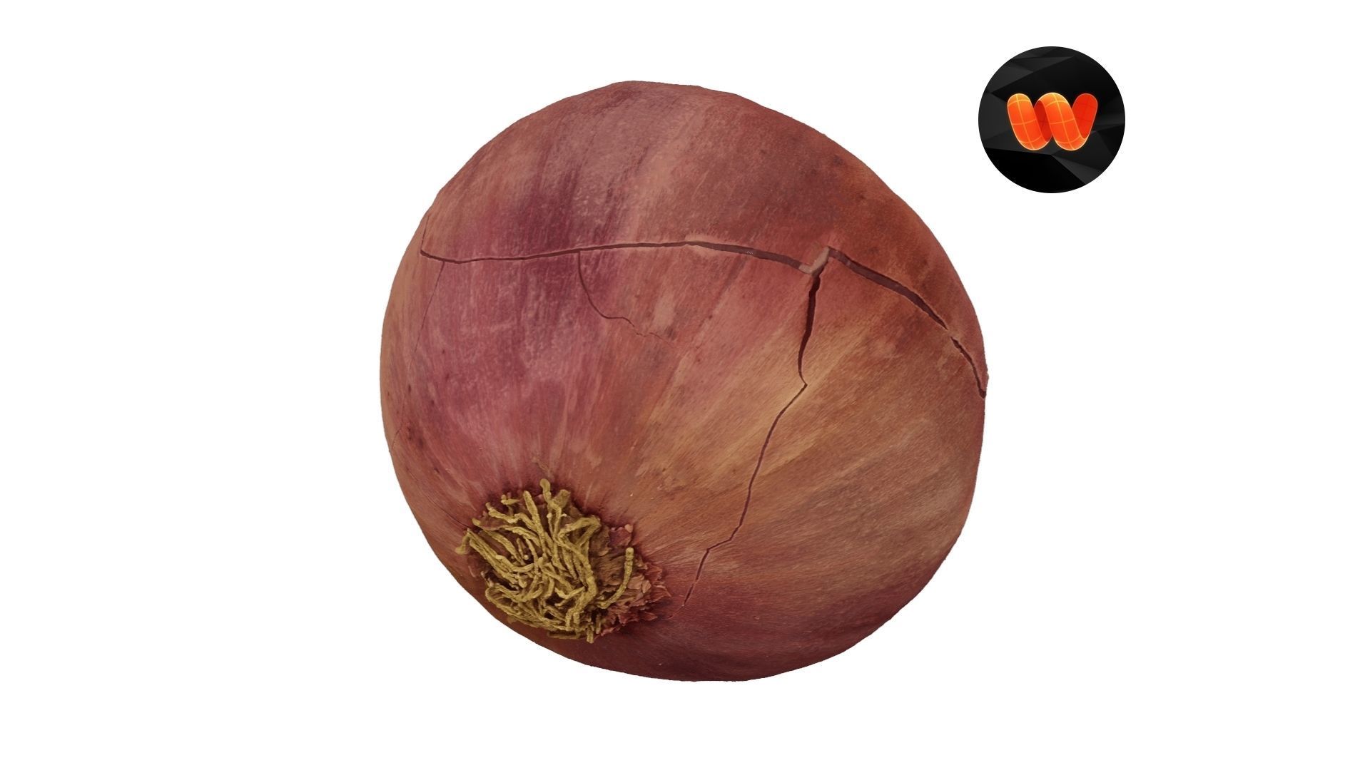 Red Onion Extreme Definition Scanned 3D model CGTrader