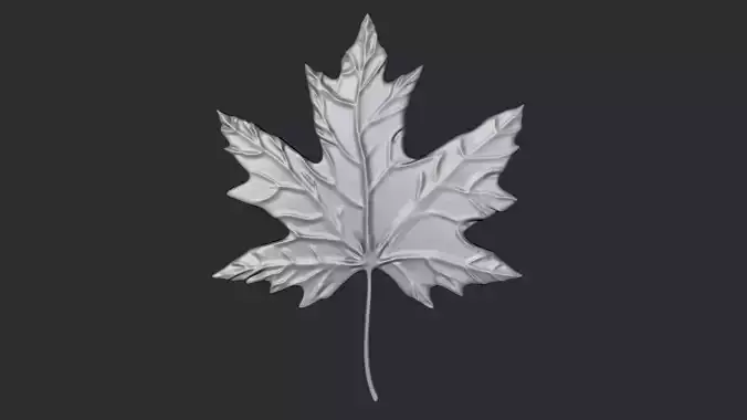 STL models for 3D printing and CNC Maple Leaf 3D print model