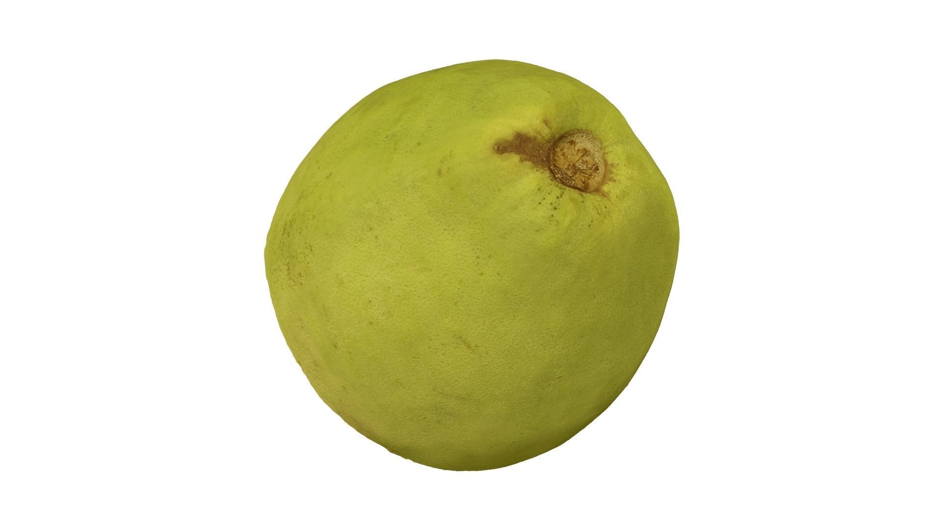 Half a Guava - Extreme Definition Scanned 3D model_8