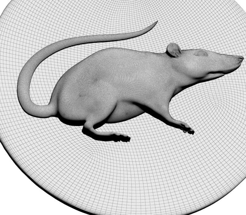 Chinese Zodiac Rat 3D print model_31