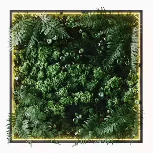 Fitowall ferns in square frame on wall