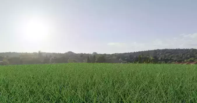 Grass 3D model field with in sun 3D model
