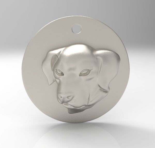 Chinese Zodiac Coins Collection _17