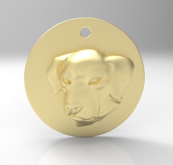 Chinese Zodiac Coins Collection _16