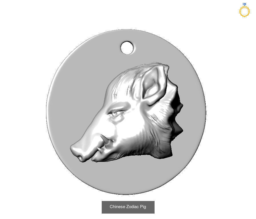 Chinese Zodiac Coins Collection _6