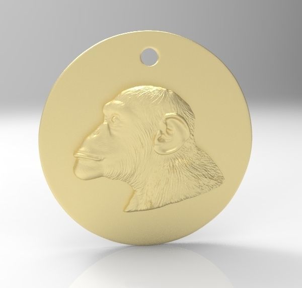 Chinese Zodiac Coins Collection _24