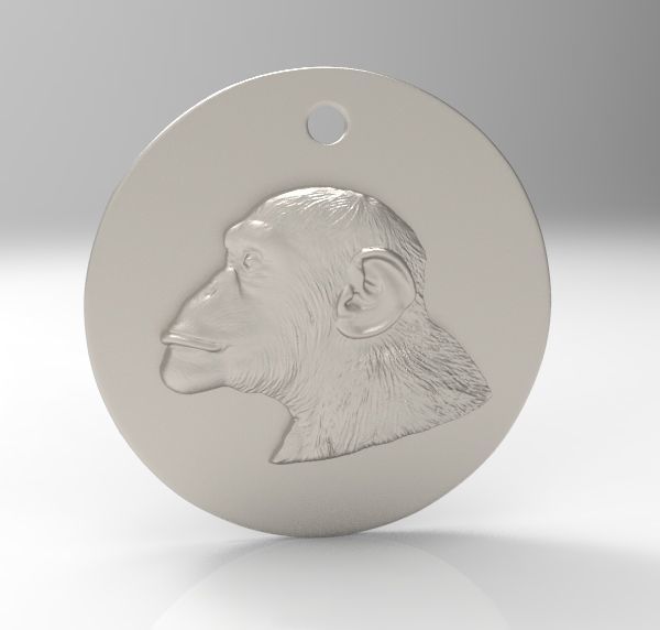 Chinese Zodiac Coins Collection _25