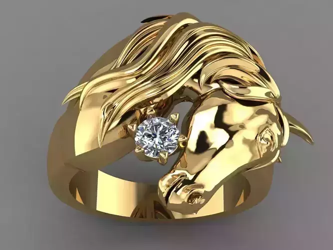 horse ring