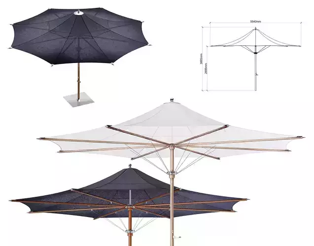 Tensile Parasol 3D model