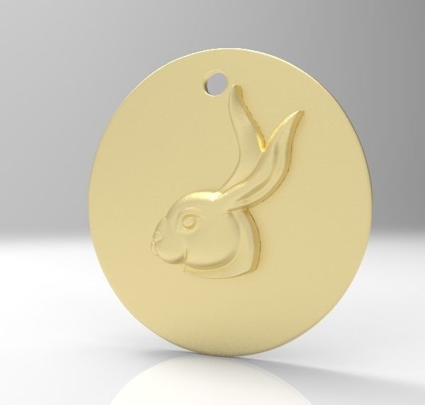 Chinese Zodiac Rabbit 3D print model_10