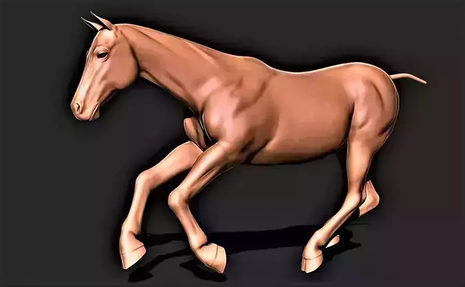 Horse 021