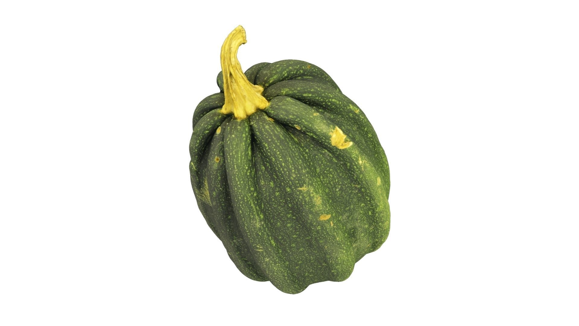 Mogango Winter Squash - Extreme Definition Scanned 3D model_3