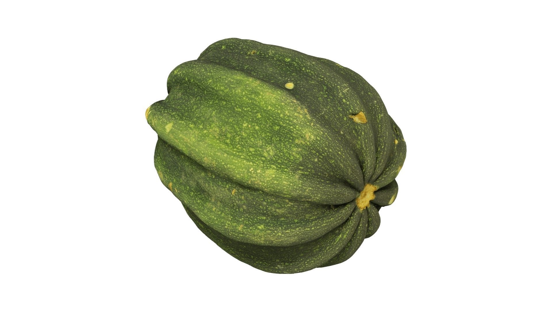 Mogango Winter Squash - Extreme Definition Scanned 3D model_8