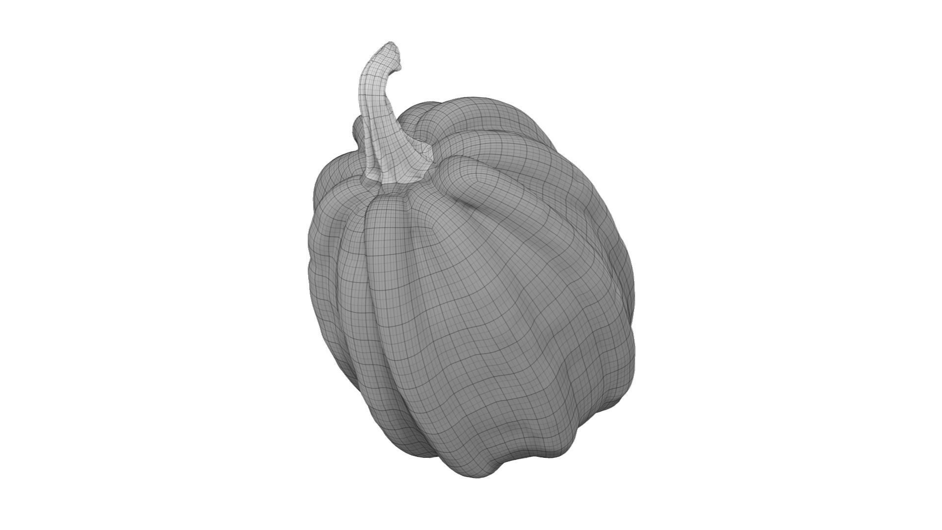 Mogango Winter Squash - Extreme Definition Scanned 3D model_7