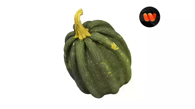 Mogango Winter Squash - Extreme Definition Scanned