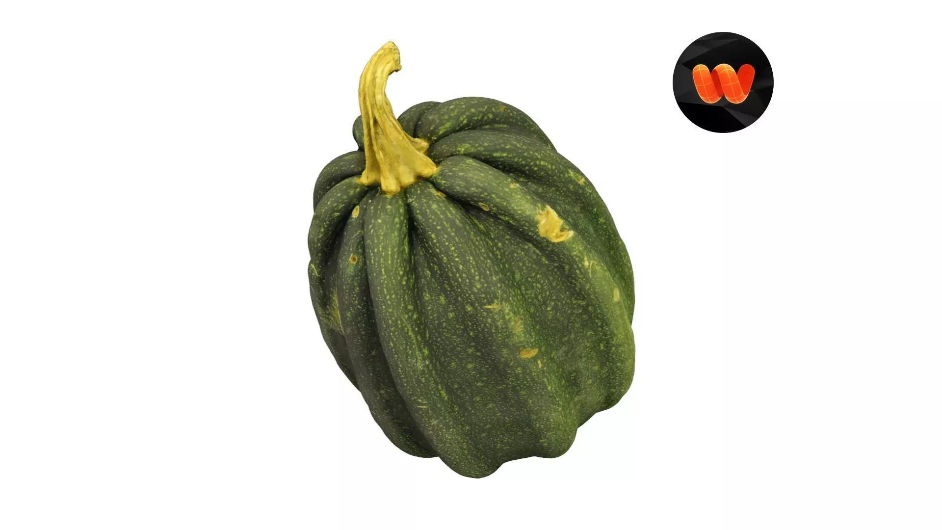Mogango Winter Squash - Extreme Definition Scanned 3D model_0