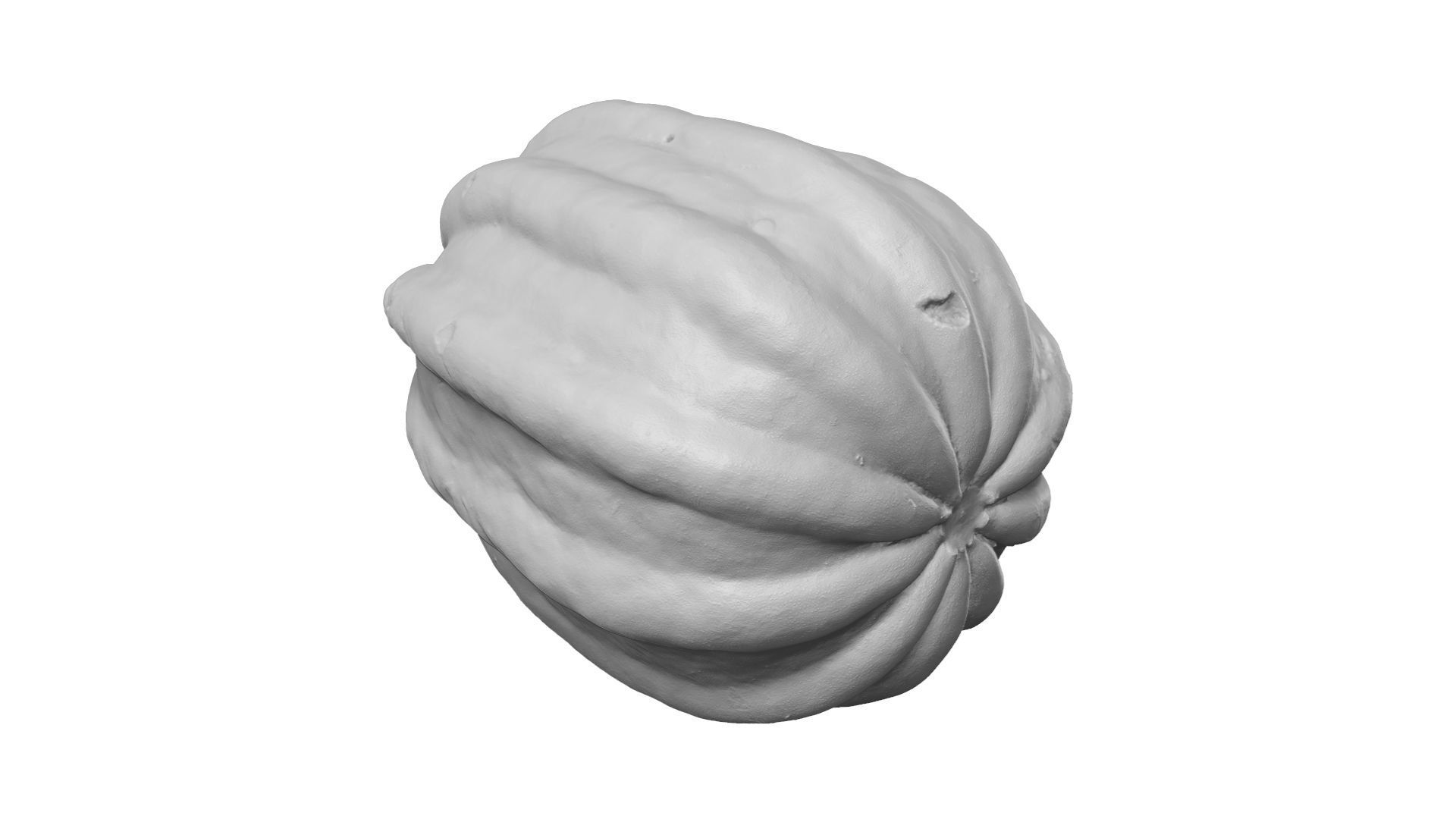 Mogango Winter Squash - Extreme Definition Scanned 3D model_9