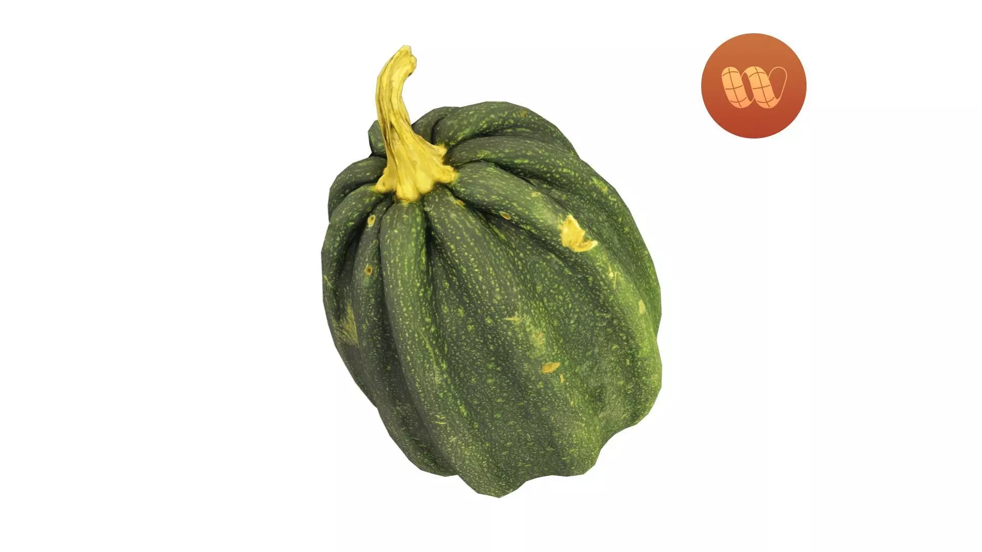 Mogango Winter Squash - Real-Time Scanned Low-poly 3D model_0