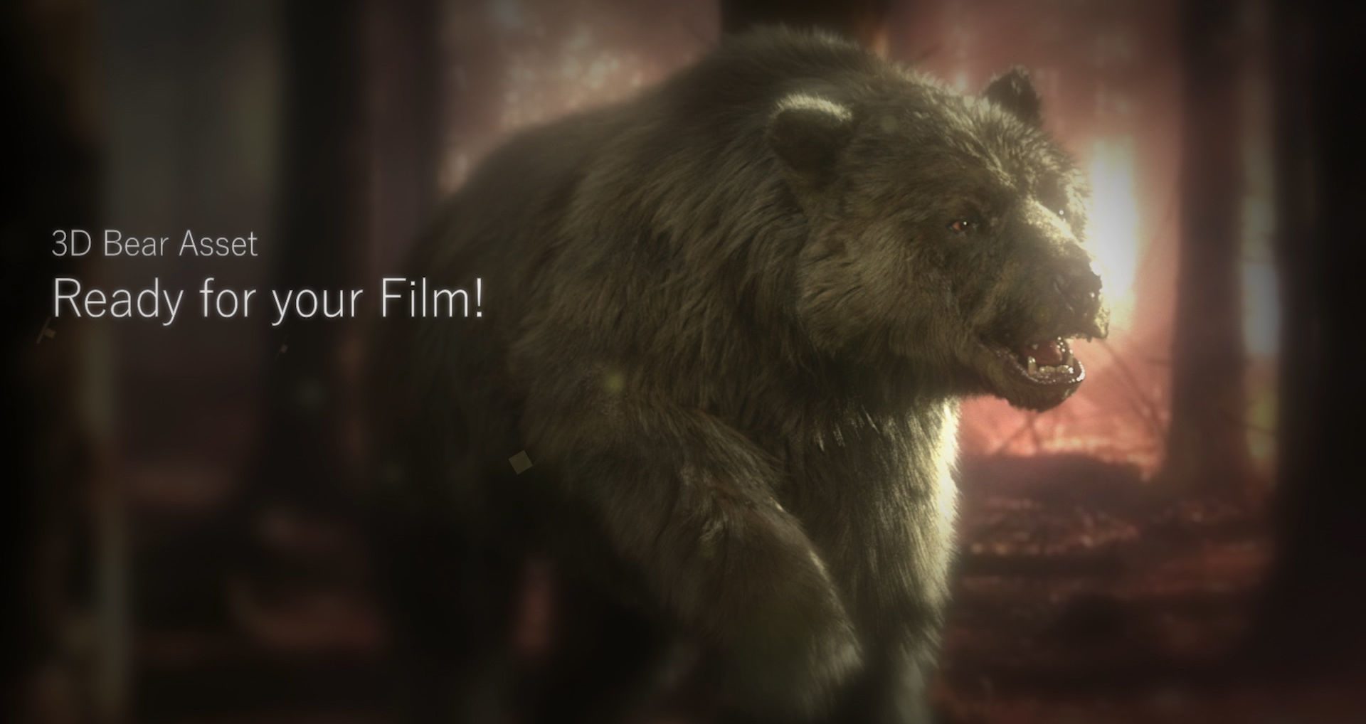 Bear Skin Rigged 3D model_13