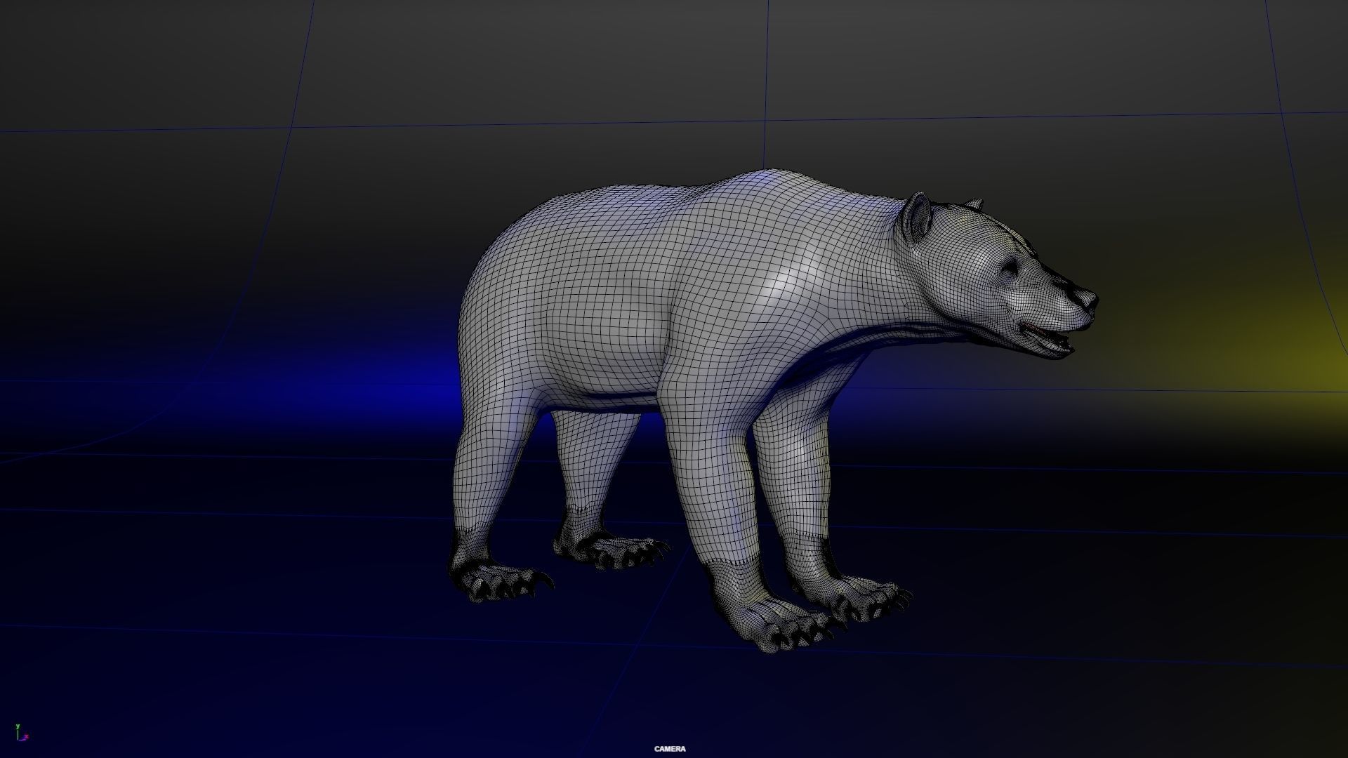 Bear Skin Rigged 3D model_12