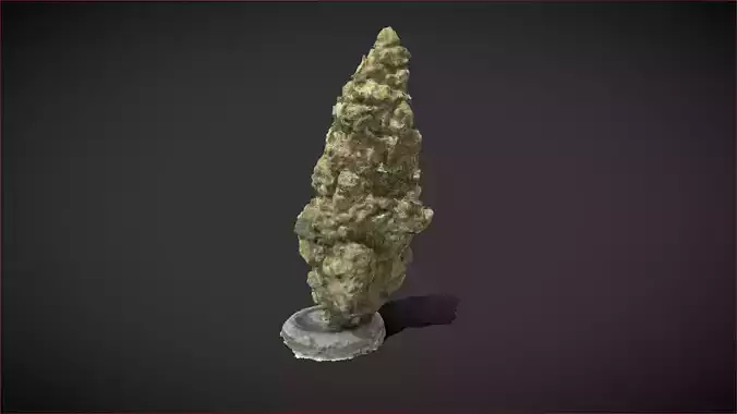 Cannabis Weed Bud Scan 3D model