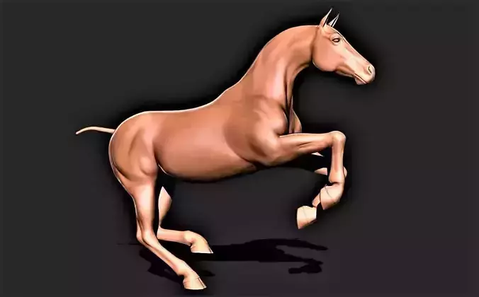 Horse 024