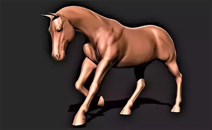 Horse 025