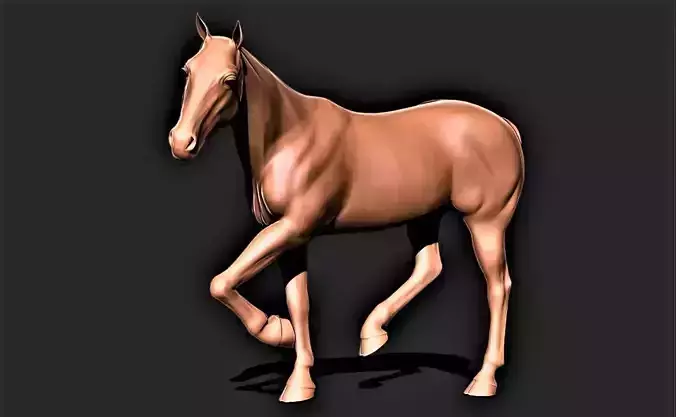 Horse 026