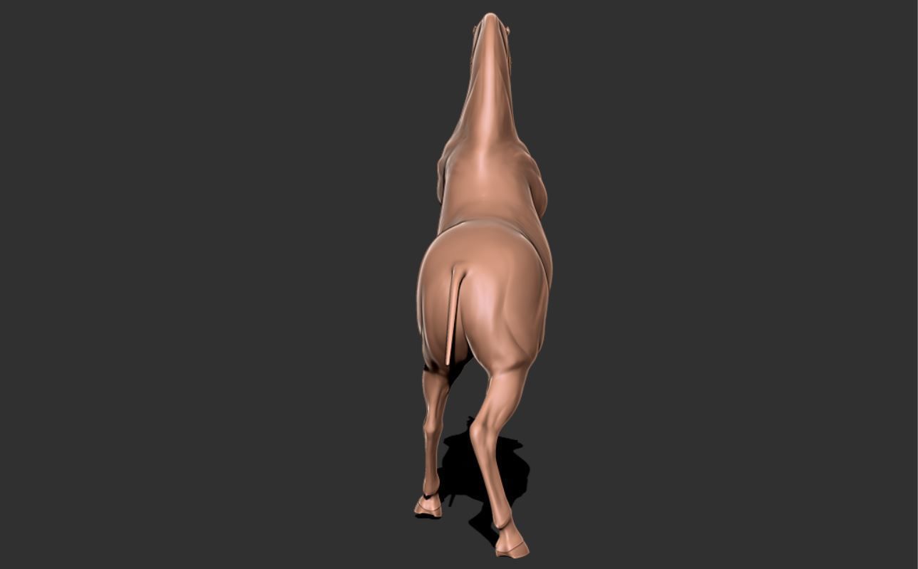 Horse 027 3D print model_3