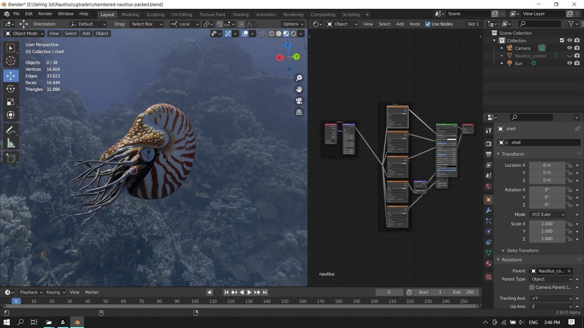 Chambered nautilus Low-poly 3D model_19