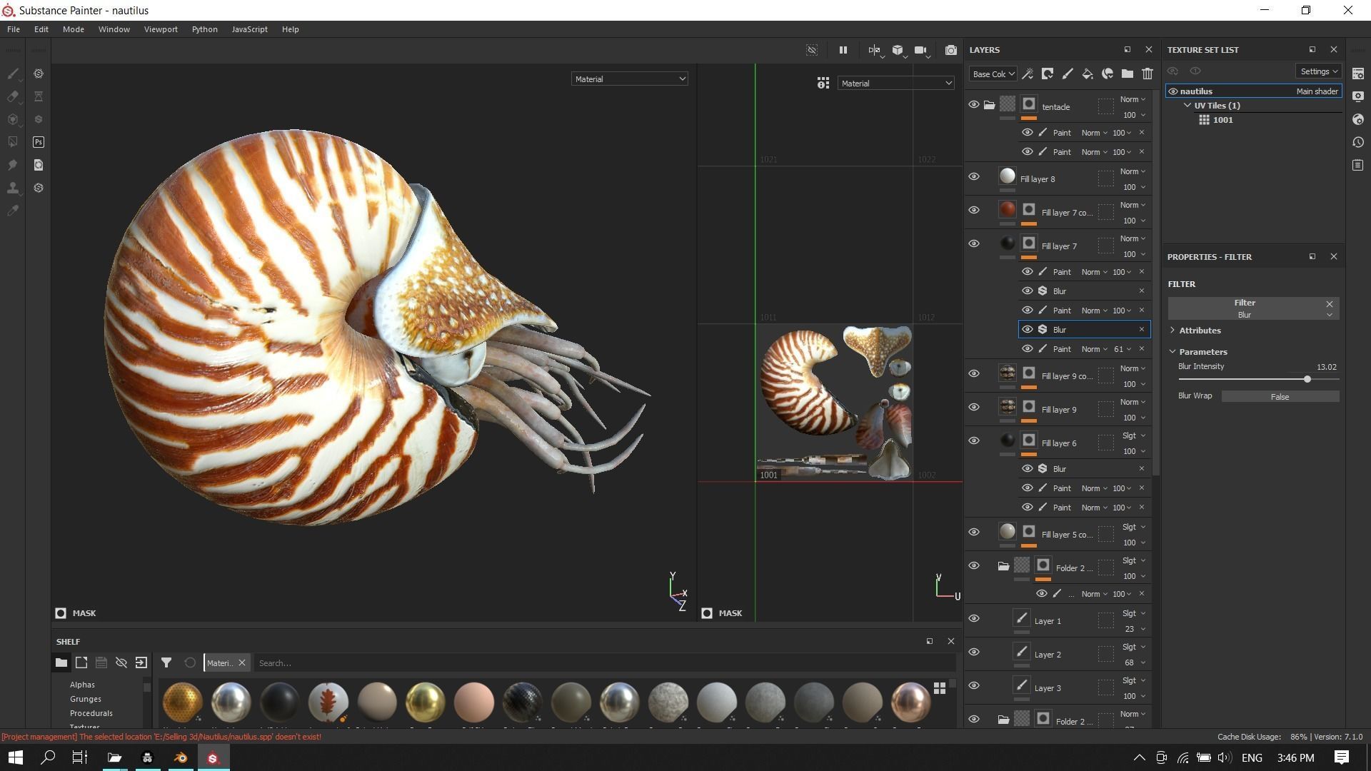 Chambered nautilus Low-poly 3D model_22
