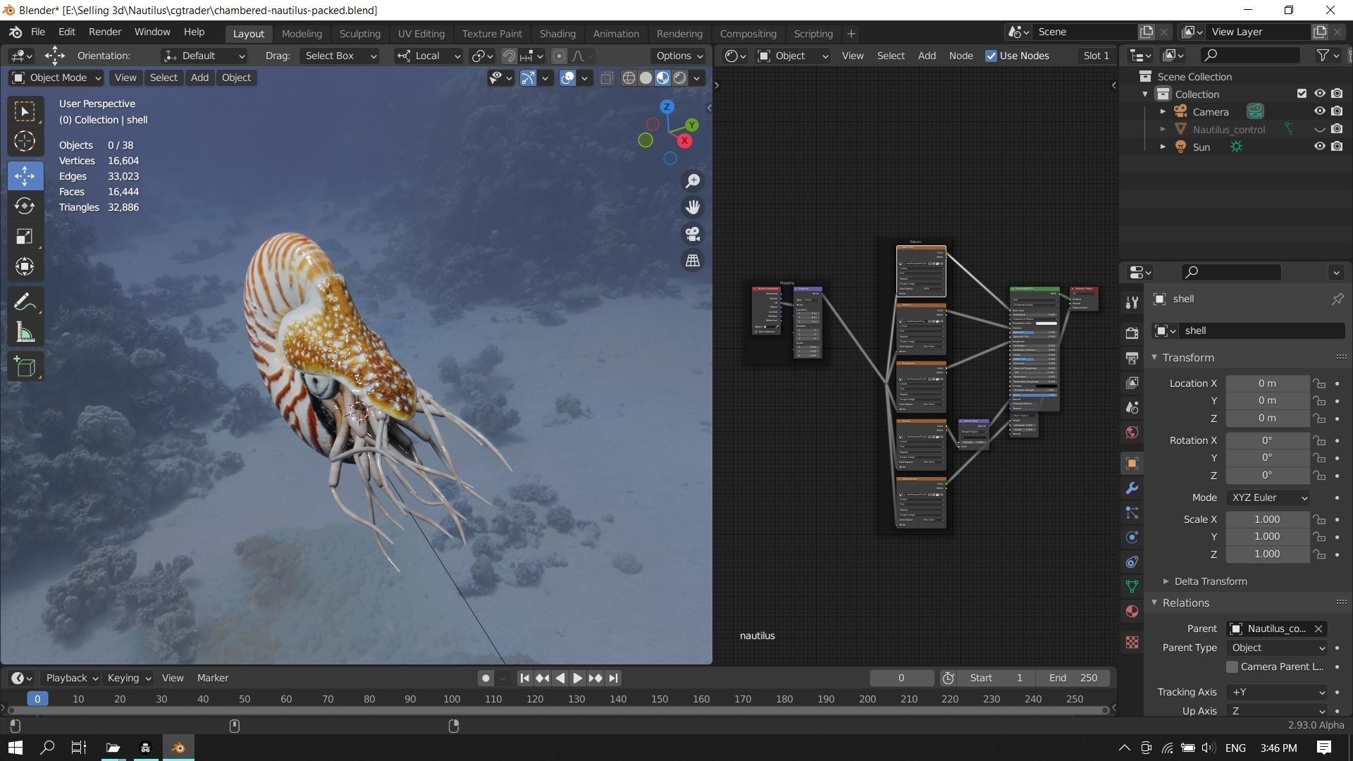 Chambered nautilus Low-poly 3D model_25