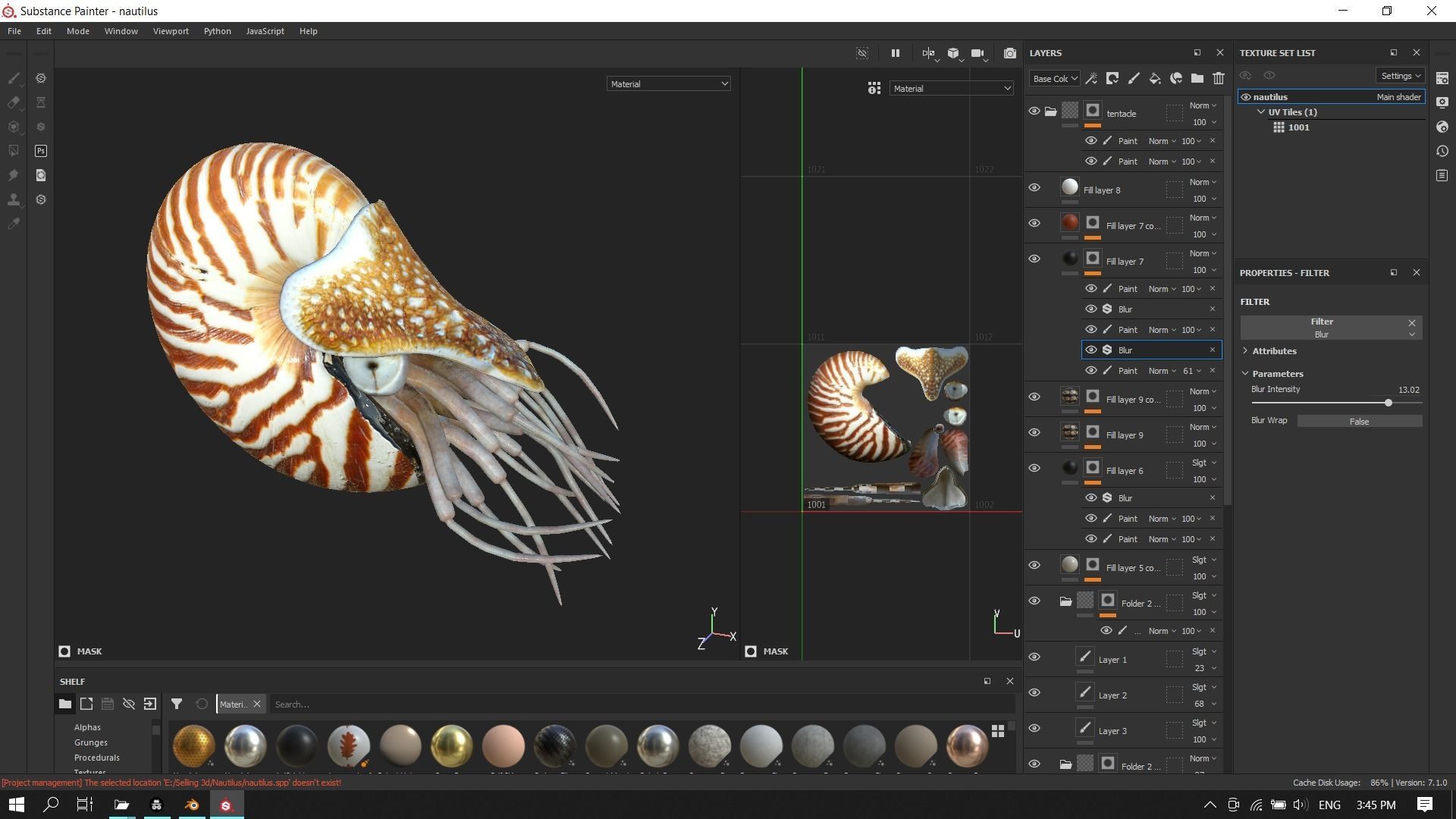 Chambered nautilus Low-poly 3D model_20