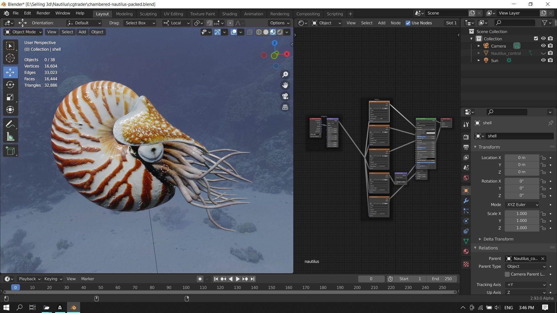 Chambered nautilus Low-poly 3D model_26