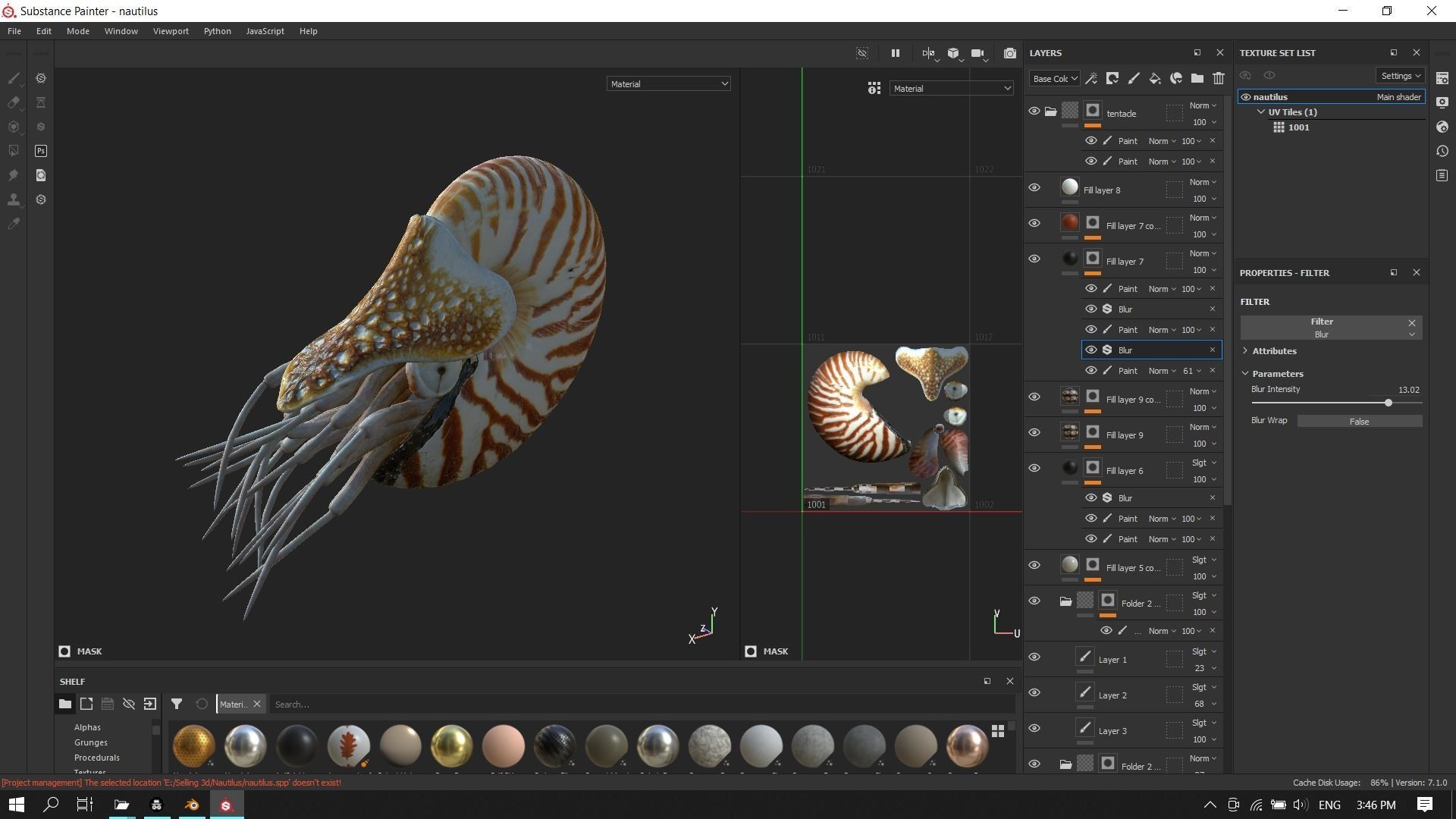 Chambered nautilus Low-poly 3D model_23
