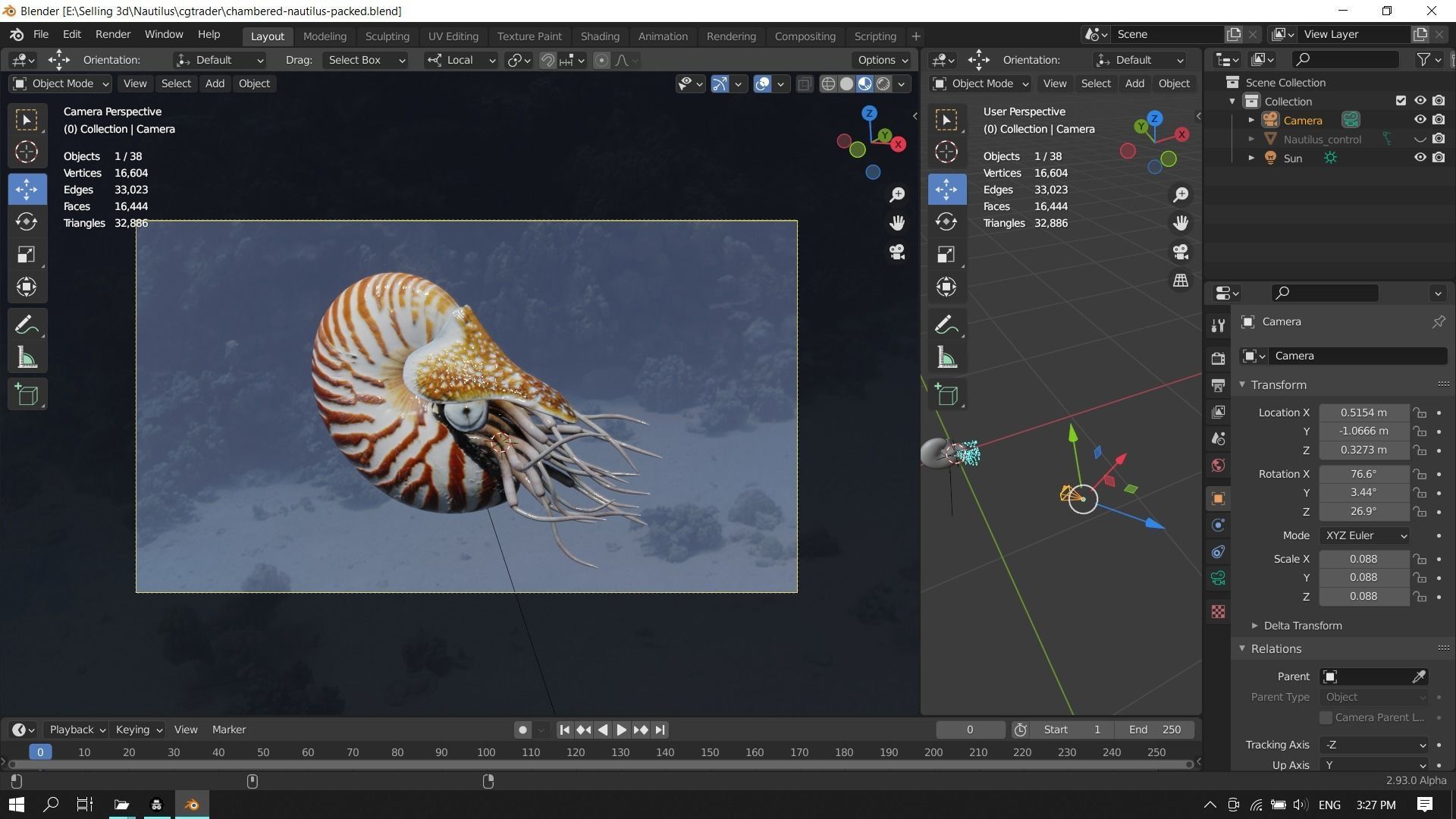Chambered nautilus Low-poly 3D model_24