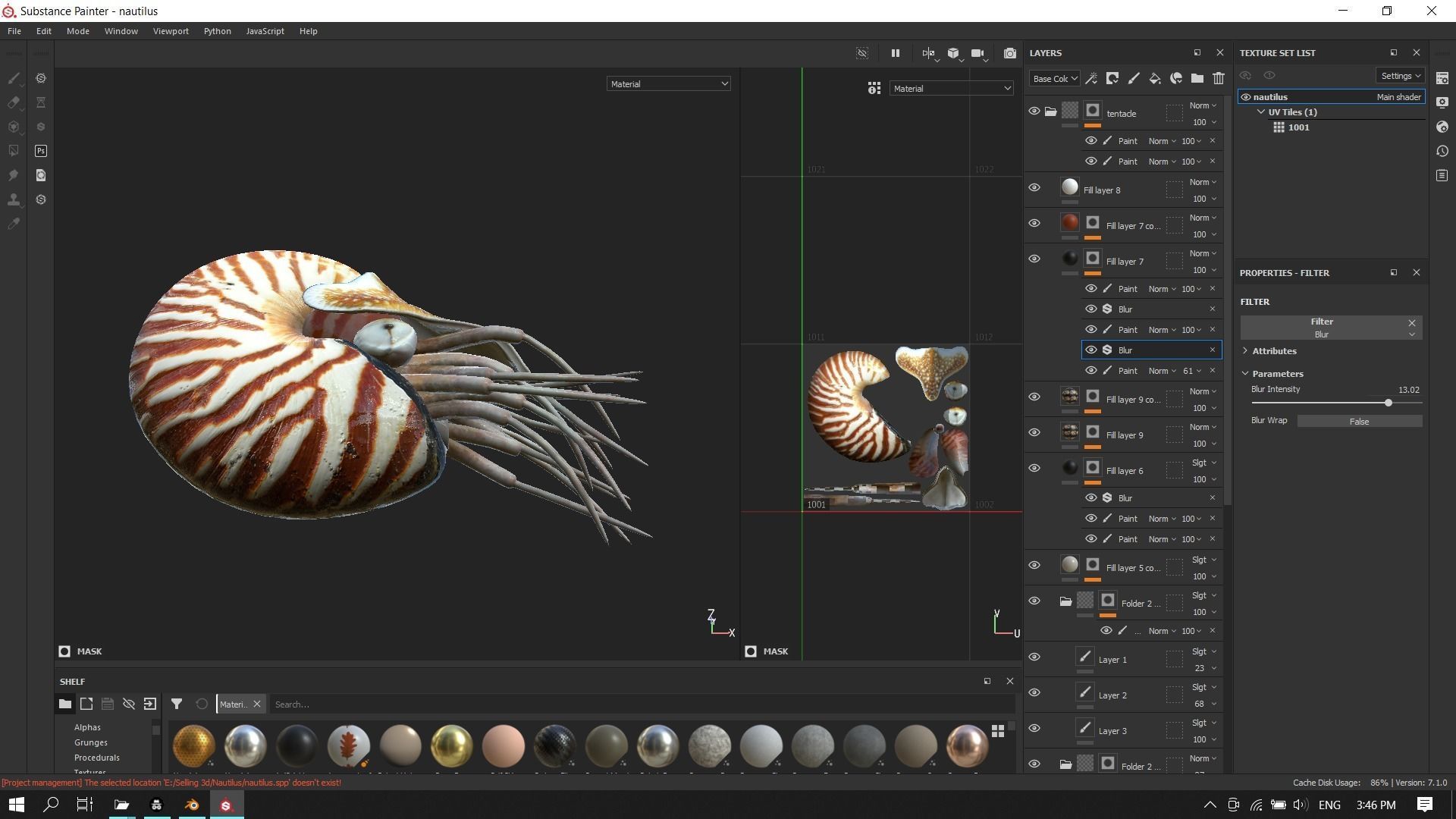 Chambered nautilus Low-poly 3D model_21