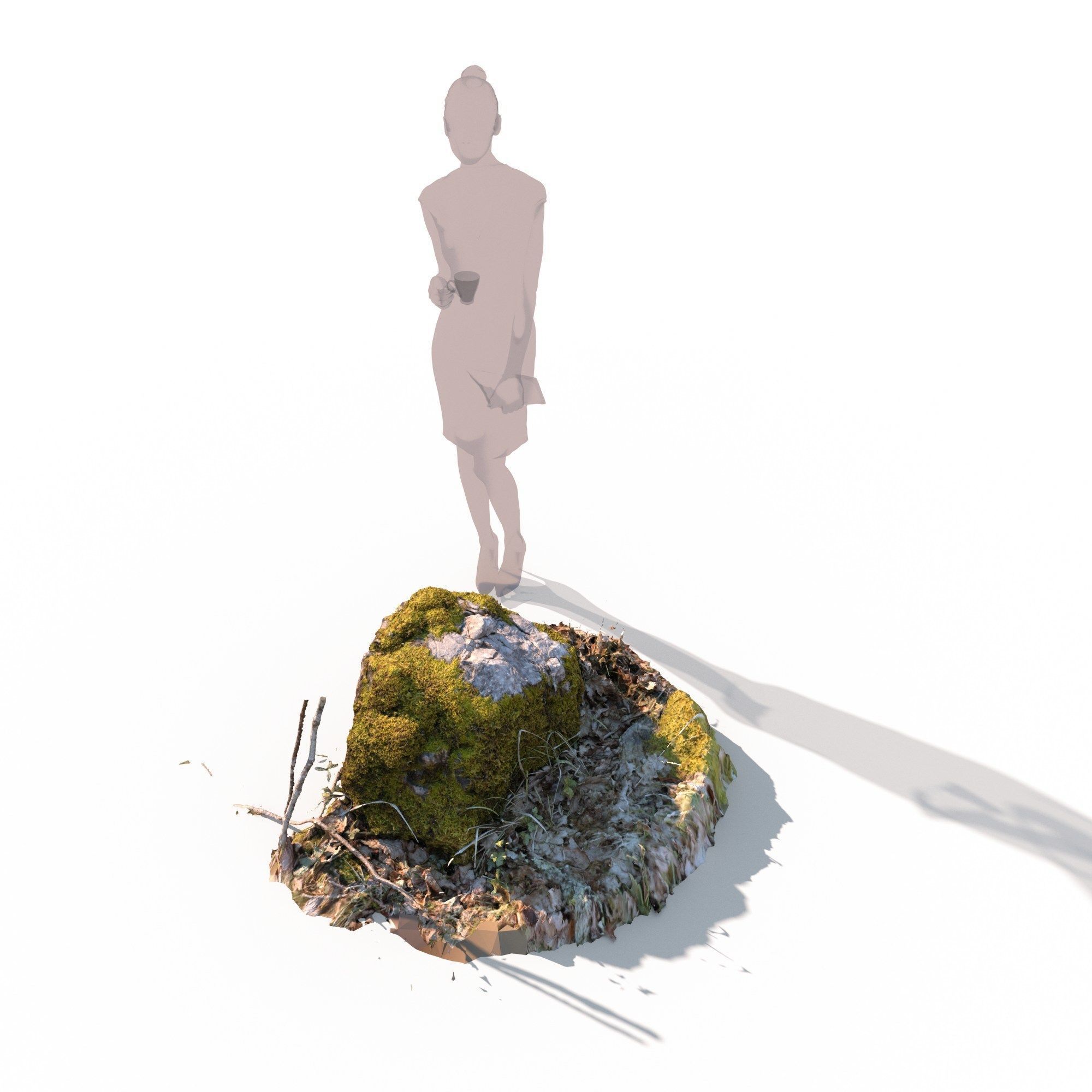 Forest stone formation a 3D model_2