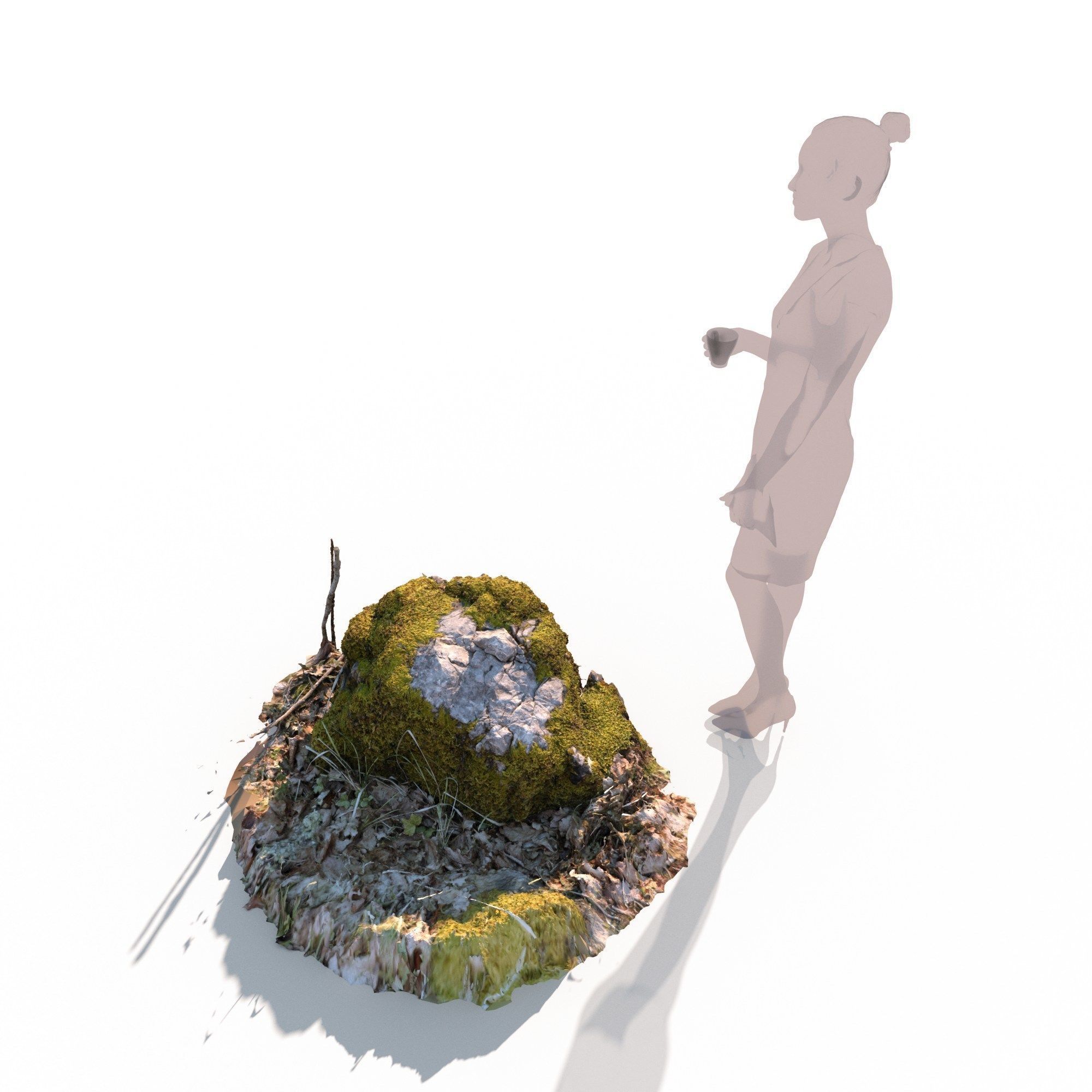 Forest stone formation a 3D model_3