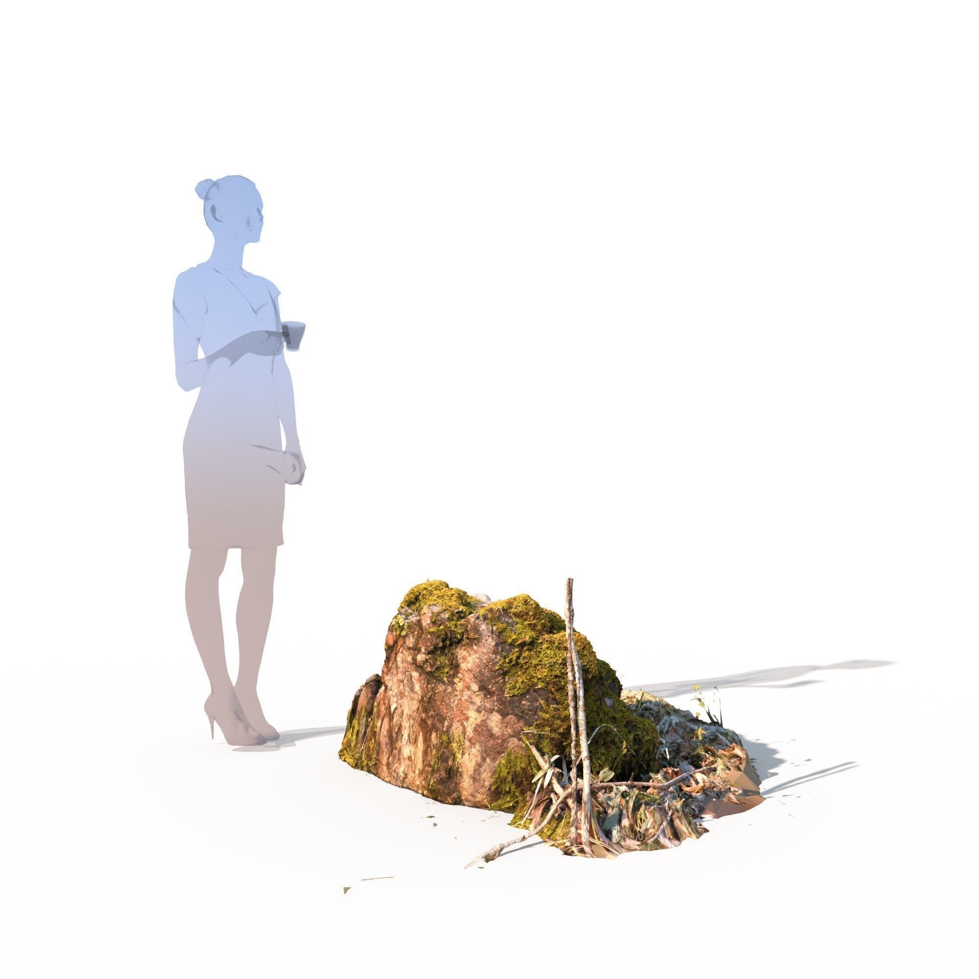 Forest stone formation a 3D model_1