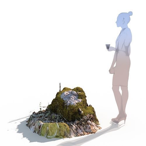 Forest stone formation a 3D model