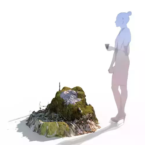 Forest stone formation a 3D model