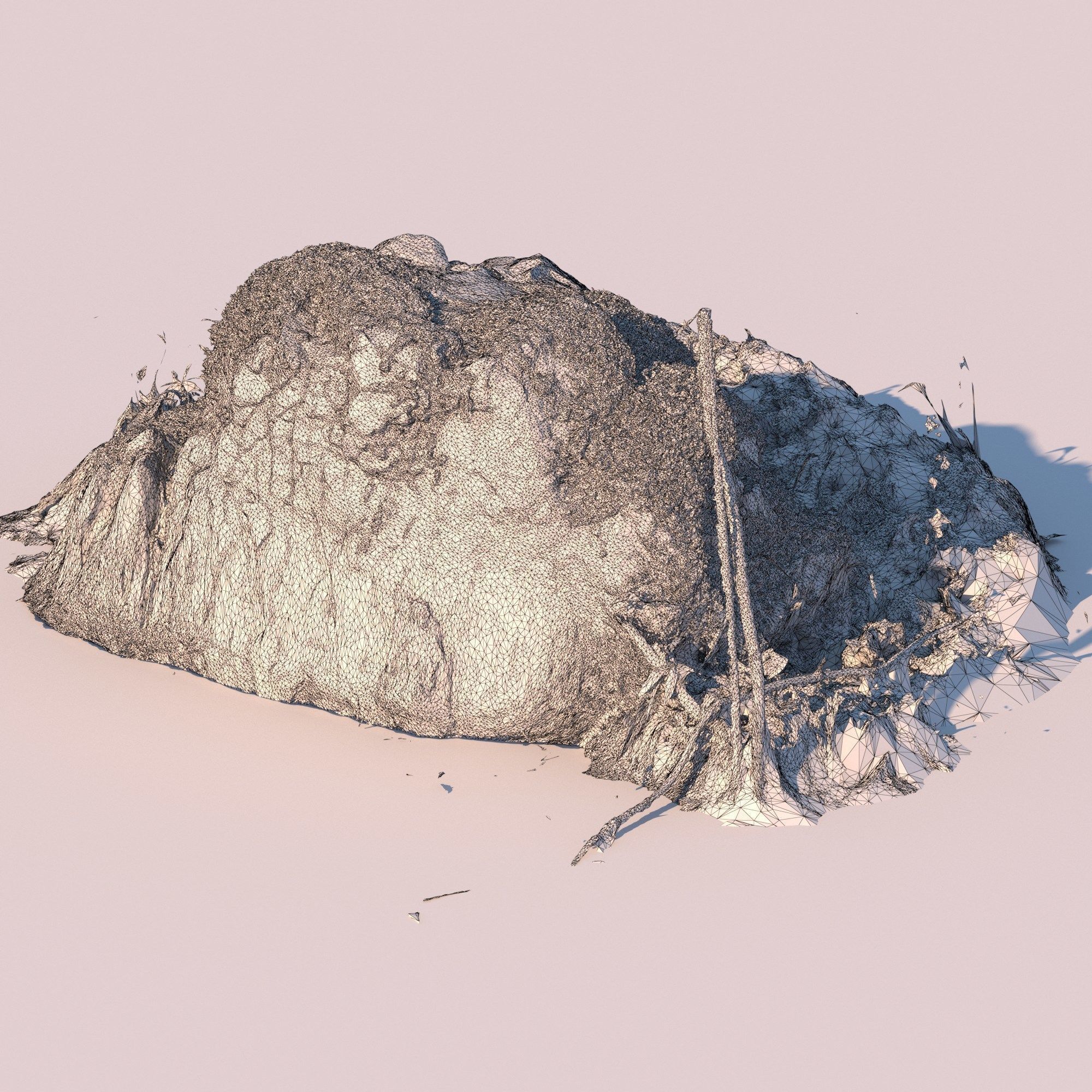 Forest stone formation a 3D model_6