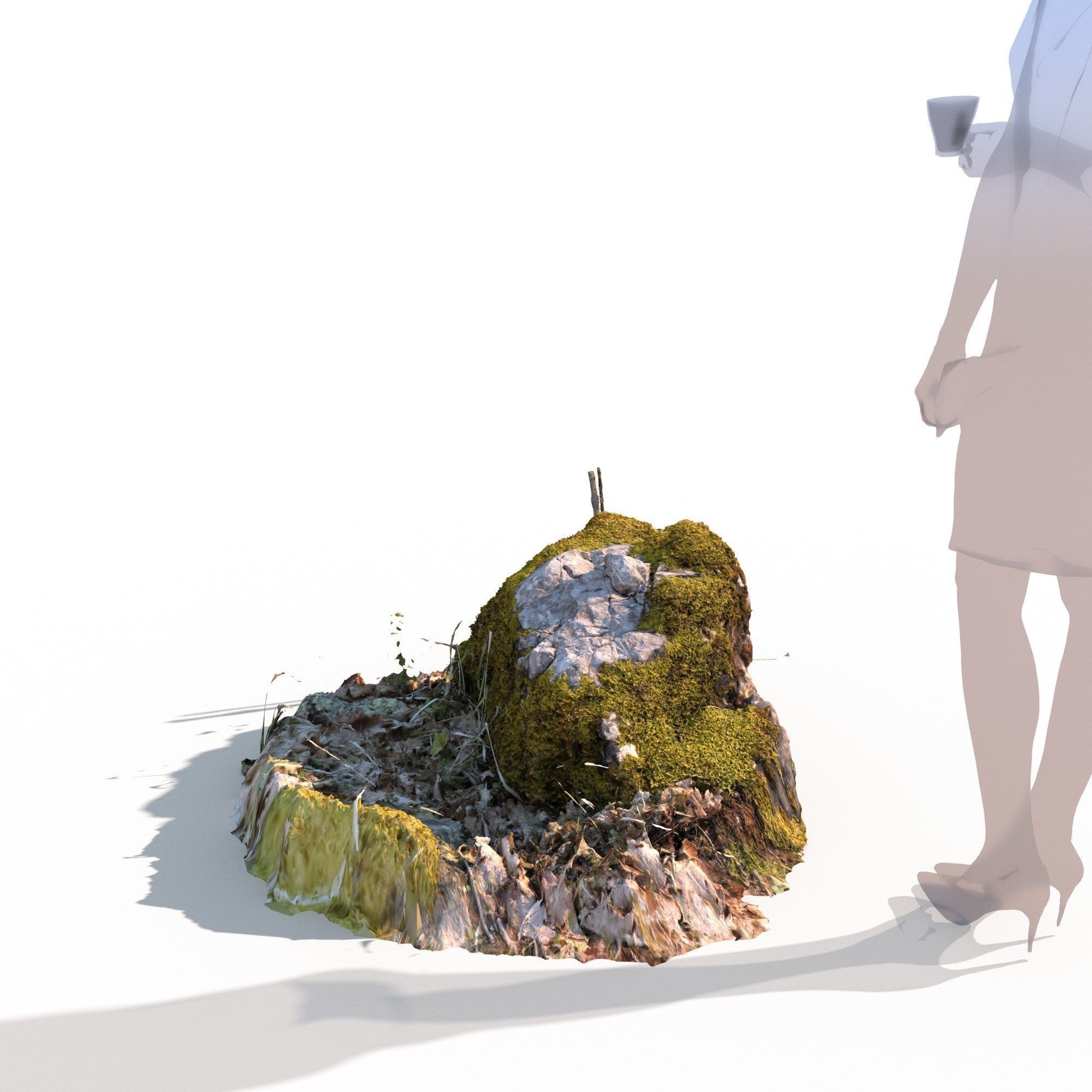 Forest stone formation a 3D model_4