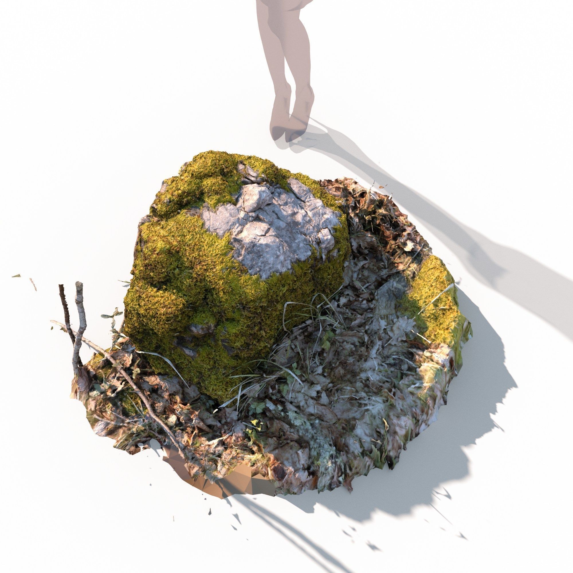 Forest stone formation a 3D model_5