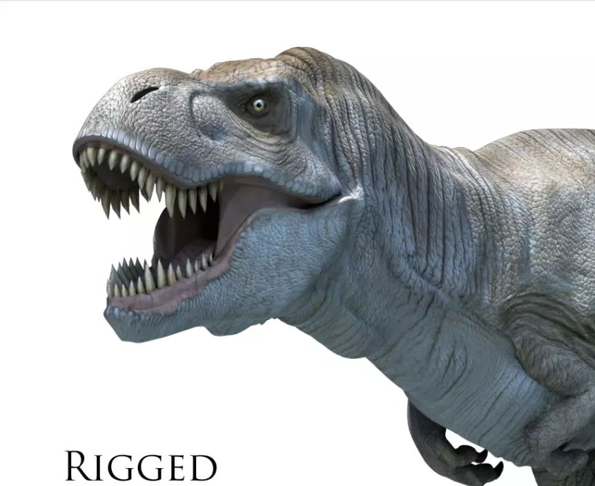 Rigged Trex shep Free 3D model
