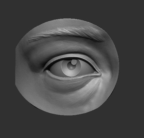 Eye reference 3D print model