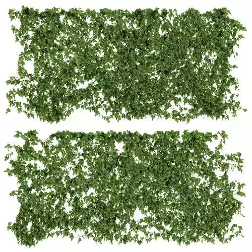 Ivy walls 2 models 3D model